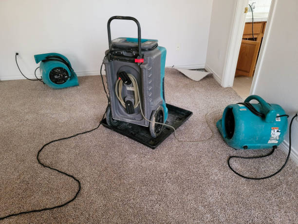 Best Residential water damage restoration  in Norridge, IL