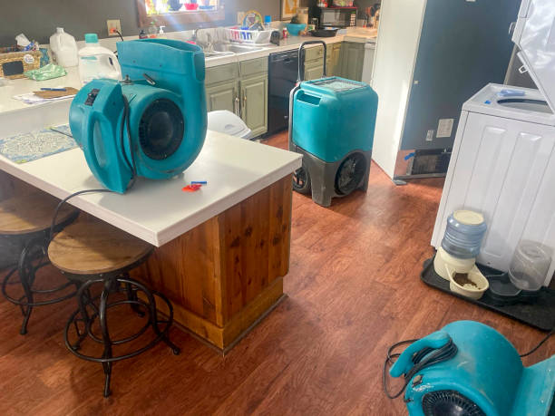 Best Professional water damage repair  in Norridge, IL