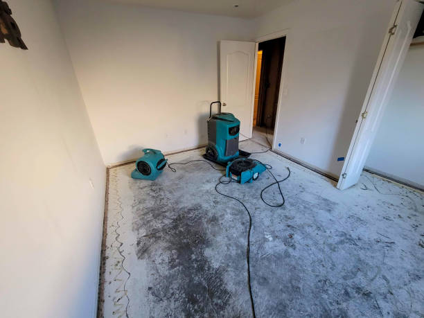 Best Water damage contractors near me  in Norridge, IL