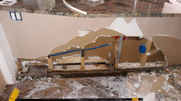 Best Carpet water damage restoration  in Norridge, IL