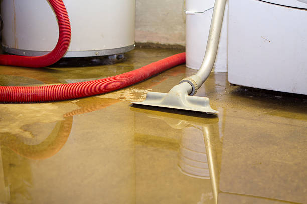 Best 24-hour water damage restoration  in Norridge, IL