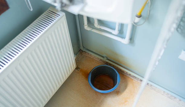  Norridge, IL Water damage restoration Pros