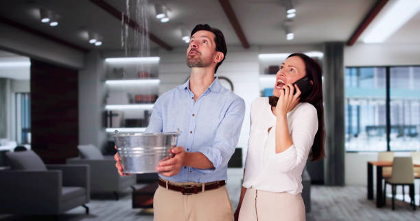 Best Commercial water damage restoration  in Norridge, IL