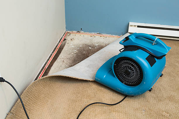 Best 24/7 water damage repair  in Norridge, IL